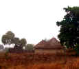 zrondel.jpg (80772 bytes)